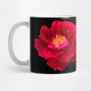 Red Flower Yellow Center Camellia Mug